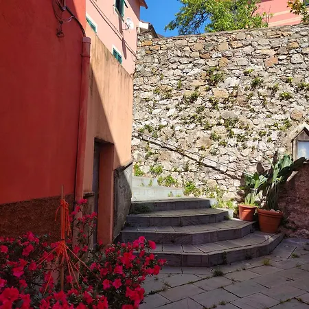 Tra Le Cinque Terre, Camogli E Portofino Con Scorcio Mare All'orizzonte Dom wakacyjny