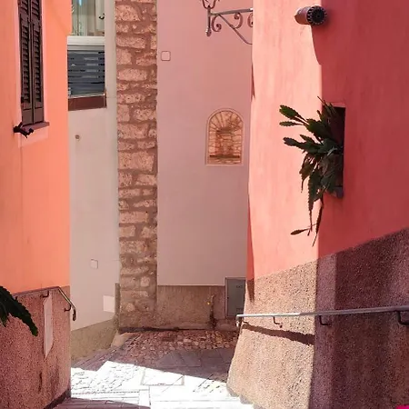 Tra Le Cinque Terre, Camogli E Portofino Con Scorcio Mare All'orizzonte