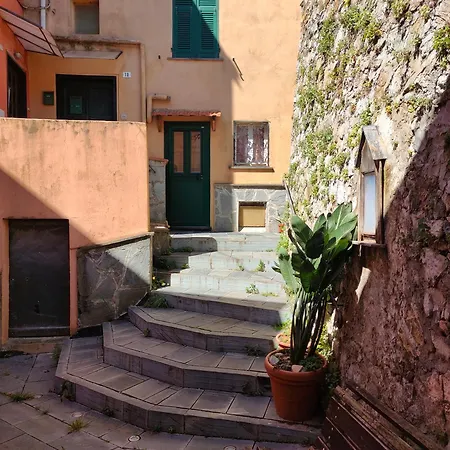 Tra Le Cinque Terre, Camogli E Portofino Con Scorcio Mare All'orizzonte *