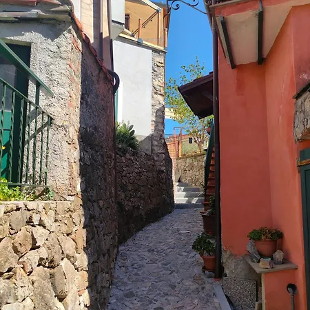 Tra Le Cinque Terre, Camogli E Portofino Con Scorcio Mare All'orizzonte
