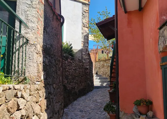 Tra Le Cinque Terre, Camogli E Portofino Con Scorcio Mare All'orizzonte