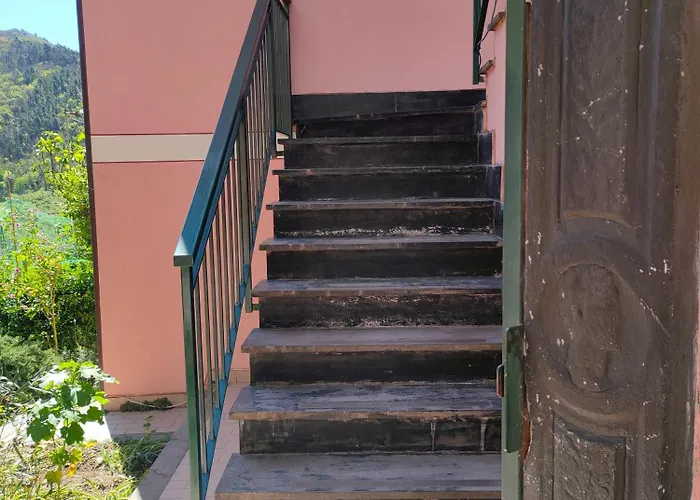 Tra Le Cinque Terre, Camogli E Portofino Con Scorcio Mare All'orizzonte